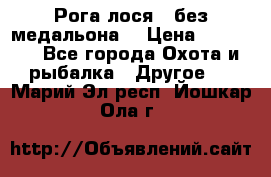 Рога лося , без медальона. › Цена ­ 15 000 - Все города Охота и рыбалка » Другое   . Марий Эл респ.,Йошкар-Ола г.